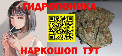 прущие крисы Кандалакша