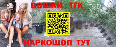 прущие крисы Кандалакша