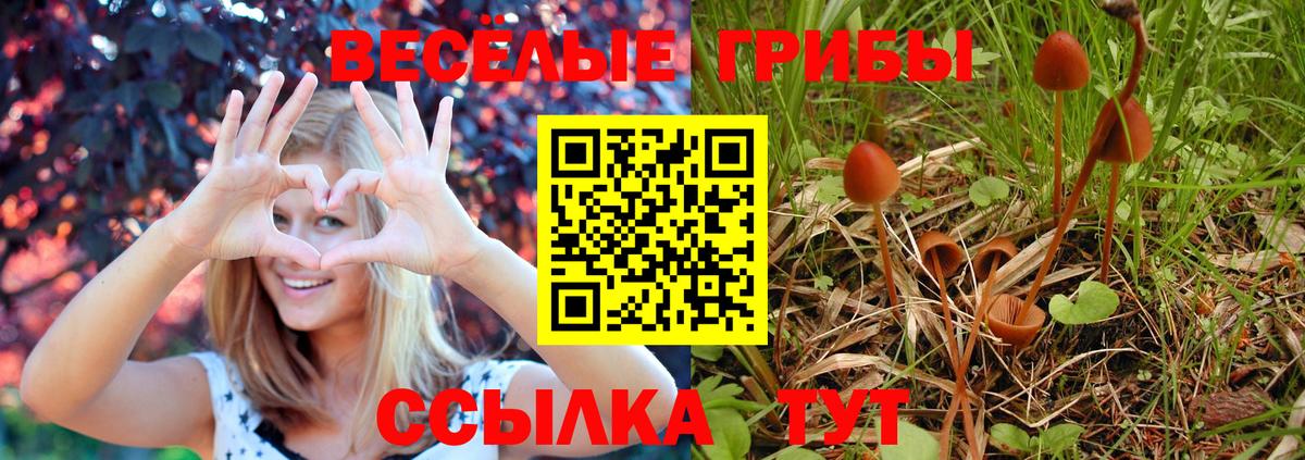 МЕФ кристаллы  МЕФ  Цена  Гашиш  Лесозаводск  COCAIN  Вход с VPN  Марихуана 