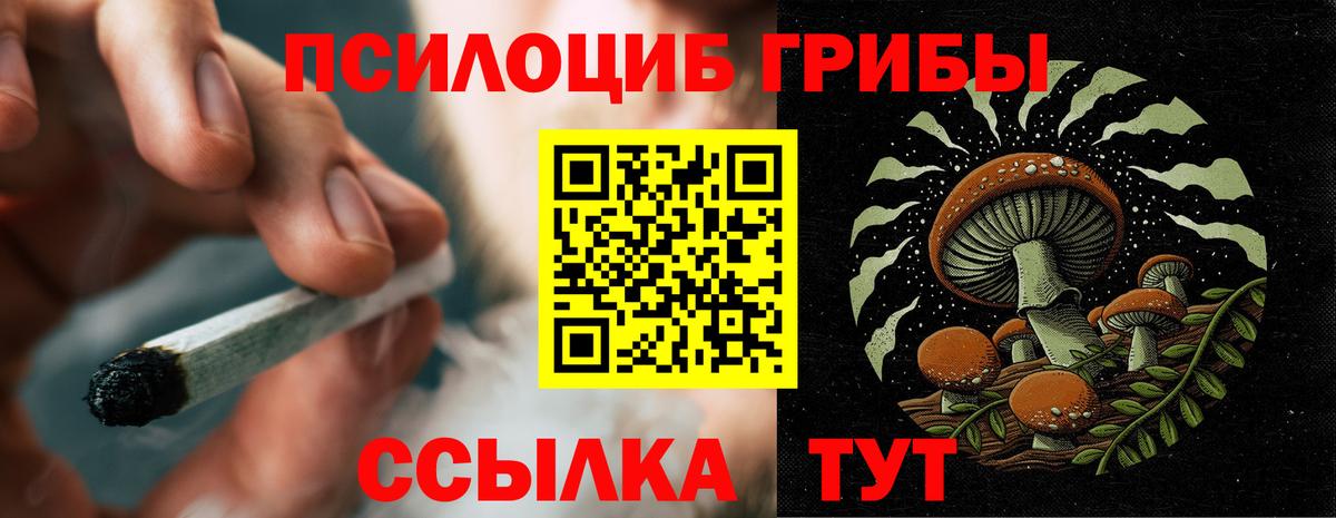 Галлюциногенные грибы MAGIC MUSHROOMS  Вход с VPN  Галлюциногенные грибы GOLDEN TEACHER  Лесозаводск 